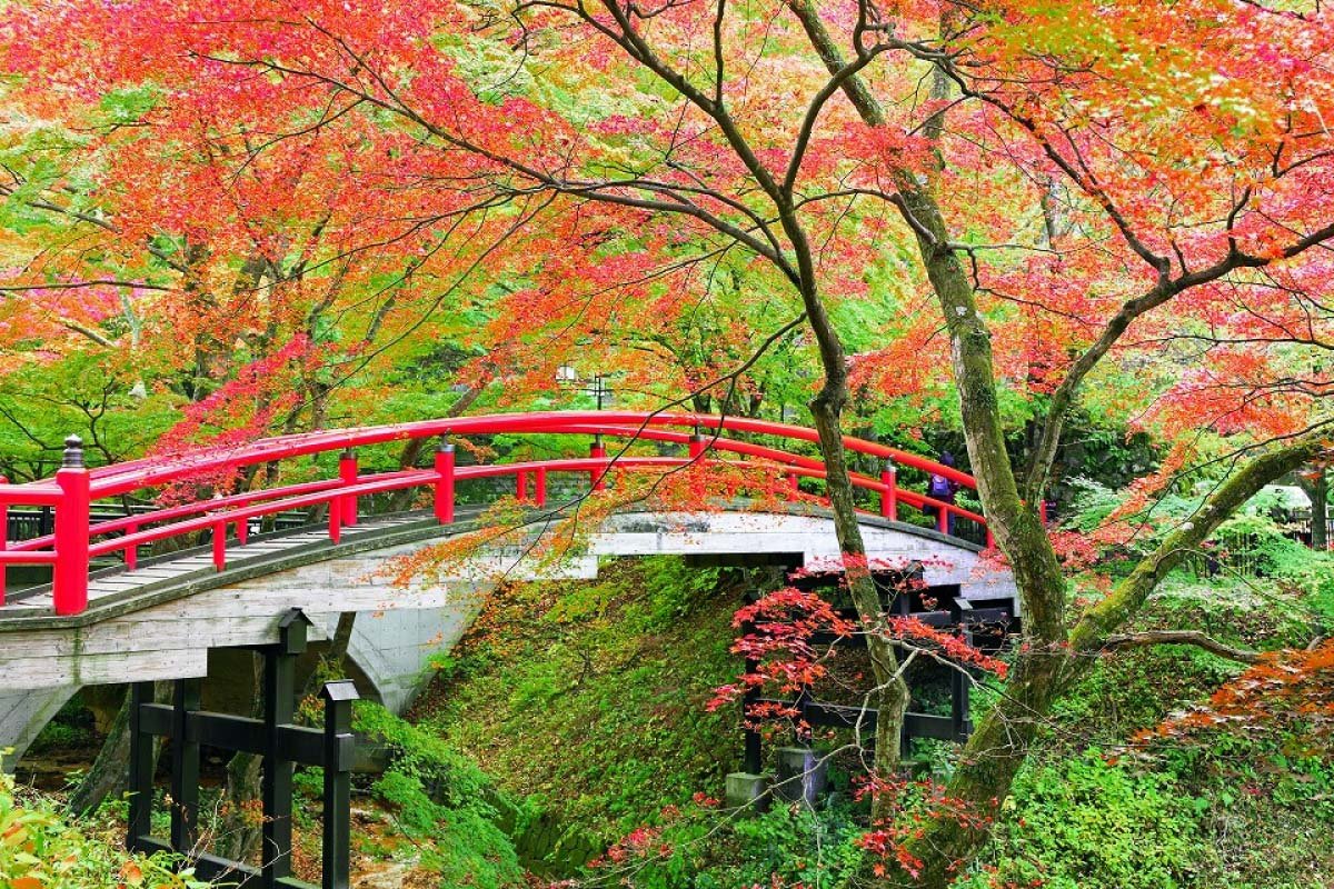 🌳 계성 공원 (케이죠 코엔) 이미지 7